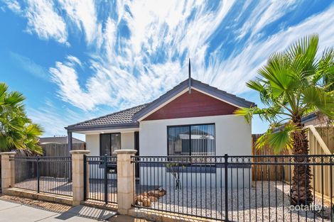 42 Costelloe Gdns, Butler, WA 6036