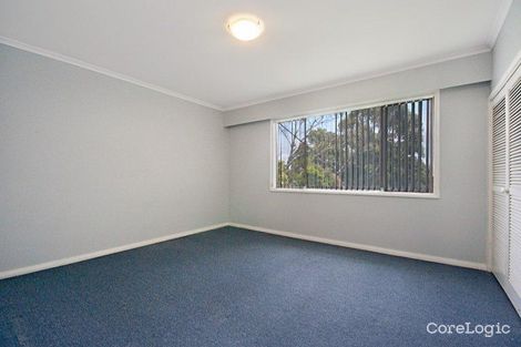 Property photo of 5 Cabbage Tree Avenue Avoca Beach NSW 2251