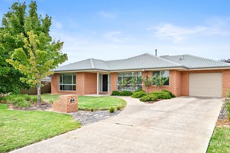 Property photo of 7 Beaus Court East Albury NSW 2640