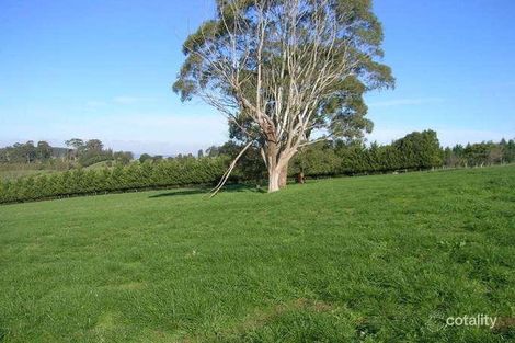 Property photo of 646 Bloomfield Road Nilma North VIC 3821