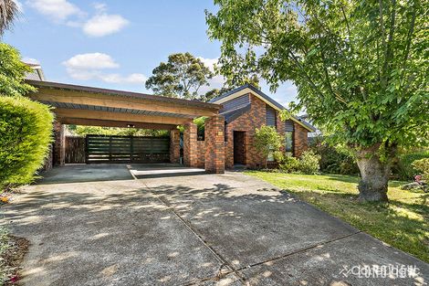 Property photo of 11 Verona Street Vermont South VIC 3133