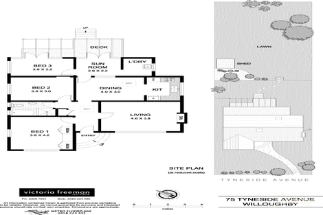 Property photo of 75 Tyneside Avenue North Willoughby NSW 2068