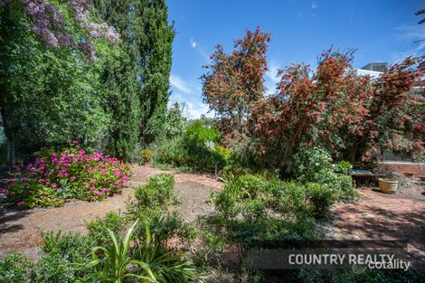 Property photo of 14 Harriott Street York WA 6302