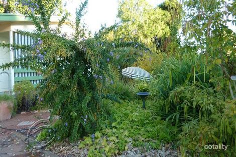 Property photo of 20 Whippet Street Tennant Creek NT 0860