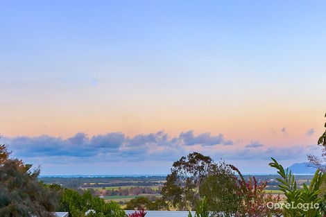 Property photo of 52 Fig Tree Drive Caravonica QLD 4878