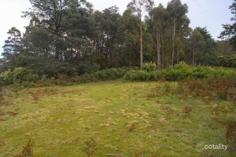 Property photo of 34 Mount Elephant Road Gray TAS 7215