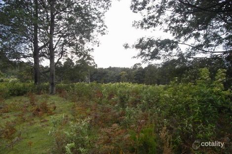 Property photo of 34 Mount Elephant Road Gray TAS 7215