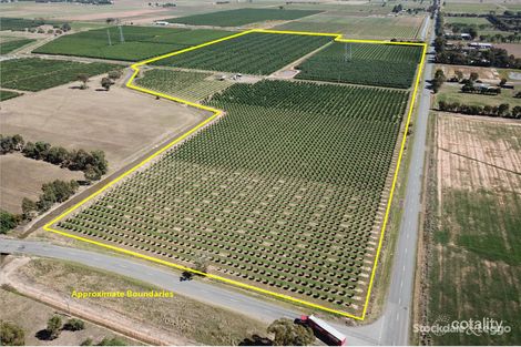 225 Lemnos North Rd, Lemnos, VIC 3631