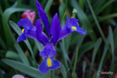 Property photo of 24 Blackdown Street Davoren Park SA 5113