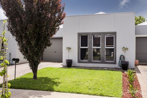 11a Albany Cres, Oaklands Park, SA 5046