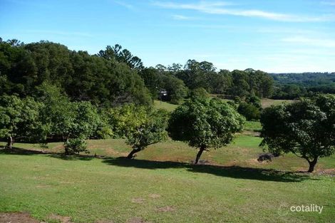 Property photo of 1 Gibbs Court Diddillibah QLD 4559