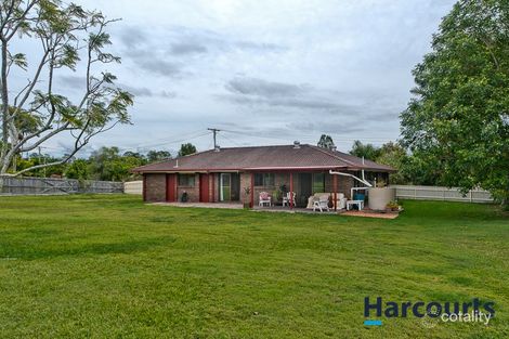 14 Pharlap Ct, Ningi, QLD 4511