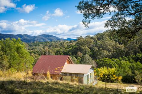 Property photo of 559 Warrigal Range Road Brogo NSW 2550