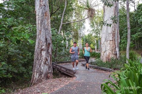 Property photo of LOT 113 Flagship Drive Trinity Beach QLD 4879