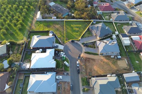 36 Bateman St, Strathalbyn, SA 5255