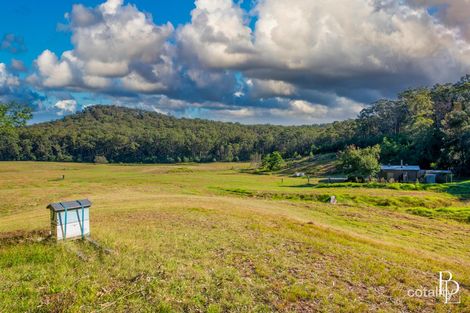 Property photo of 967 Yalwal Road Bamarang NSW 2540