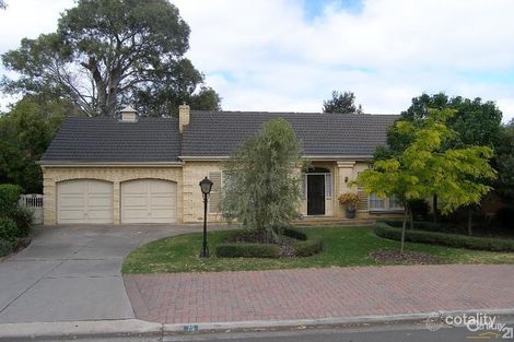 25 Sheoak Ave, Novar Gardens, SA 5040