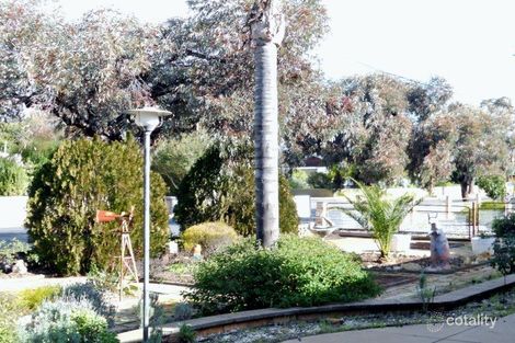 Property photo of 19 Mortimer Road Berri SA 5343