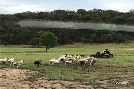 8357 Putty Rd, Putty, NSW 2330