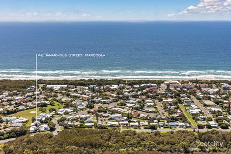 Property photo of 42 Tamarindus Street Marcoola QLD 4564