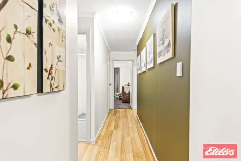 Property photo of 7 Angas Avenue Evanston Park SA 5116