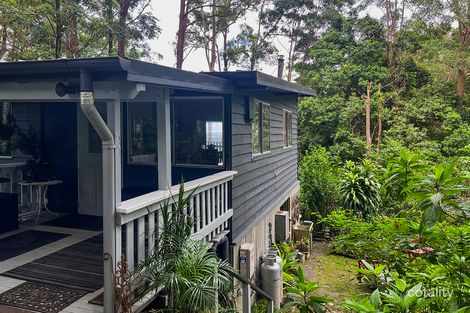 Property photo of 228 Newton Drive Nimbin NSW 2480