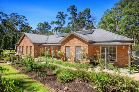 1168 Connellys Creek Rd, Taggerty, VIC 3714
