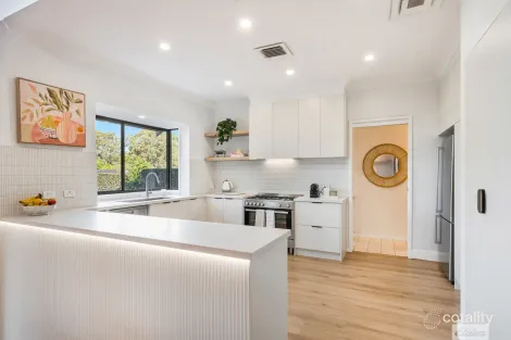 Property photo of 10 Cadillac Place Ingleburn NSW 2565