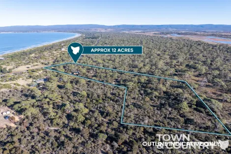 Property photo of 489 Dolphin Sands Road Dolphin Sands TAS 7190