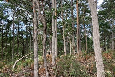 Lot 1 Bannons Bridge Rd, Gunns Plains, TAS 7315