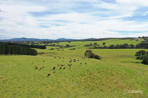 2780 Bairnsdale-Dargo Rd, Glenaladale, VIC 3864