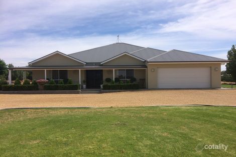 94 Rialto St, Renmark West, SA 5341