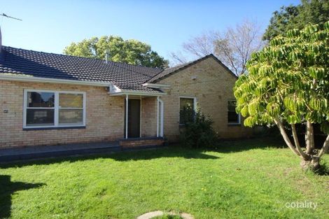 41 Dwyer Rd, Oaklands Park, SA 5046