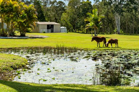 Property photo of 131 Arcoona Road Coolum Beach QLD 4573