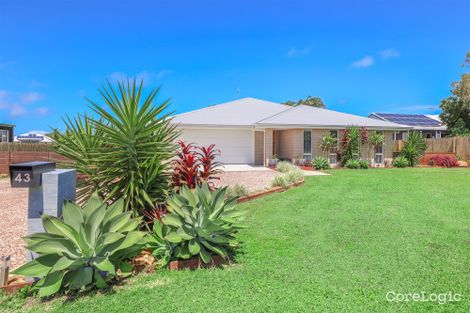 Property photo of 43 Rifle Range Road Innes Park QLD 4670