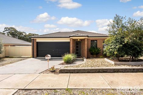 Property photo of 11 Falcon Drive California Gully VIC 3556