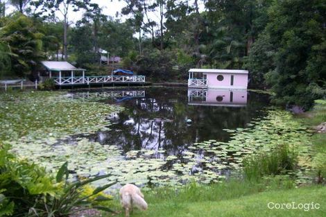 Property photo of 40 Cash Road Eumundi QLD 4562