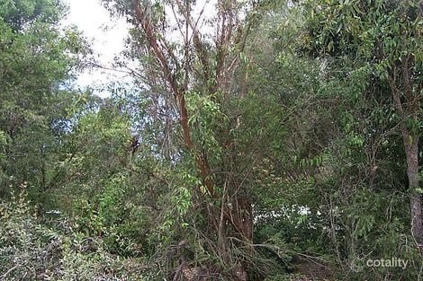 16 Tibouchina Cl, Bellingen, NSW 2454