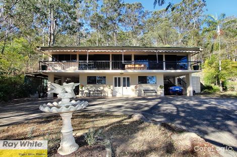 Property photo of 34A Barford Street Moorooka QLD 4105