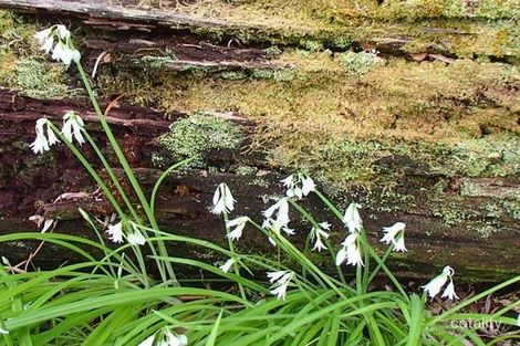 Property photo of 110 Calkarri Drive Augusta WA 6290