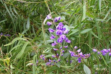 Property photo of 110 Calkarri Drive Augusta WA 6290