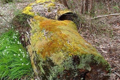 Property photo of 110 Calkarri Drive Augusta WA 6290