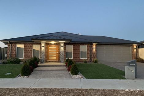 Property photo of 6 Wirth Court Horsham VIC 3400