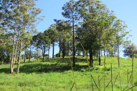 Property photo of 311 Sundowner Road Millbank NSW 2440