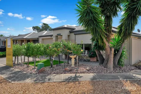 Property photo of 7 Angle Vale Road Evanston Gardens SA 5116