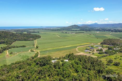 Property photo of 168-170 Syndicate Road Miallo QLD 4873