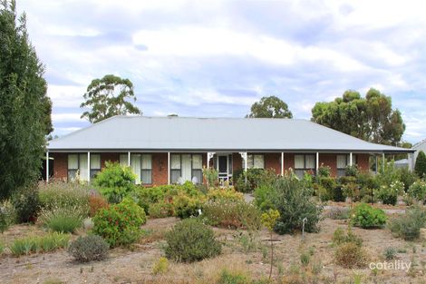 Property photo of 121 Ramsay Terrace Bordertown SA 5268