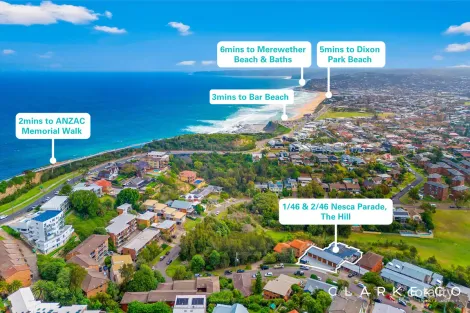 2/46 Nesca Pde, The Hill, NSW 2300