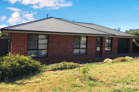 Property photo of 21 Cartledge Avenue Mount Clear VIC 3350