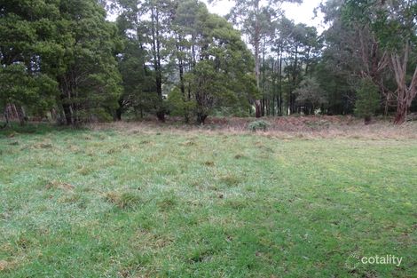 Property photo of 66 Main Road Beech Forest VIC 3237